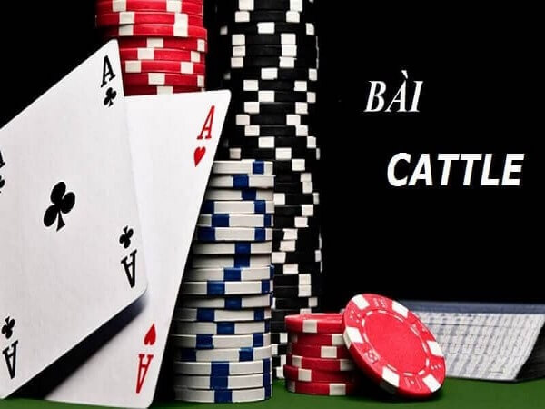 Catte Tại Thiên Đường Trò Chơi: Hướng Dẫn Và Kinh Nghiệm Chiến Thắng. catte-tai-thien-duong-tro-choi