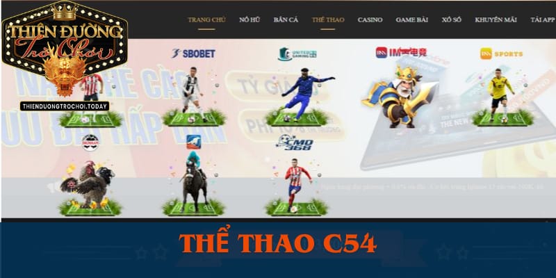 C54 – Nhà Cái Tặng Ngay 158k Cho Thành Viên Mới cac-tro-choi-ca-cuoc-the-thao-c54