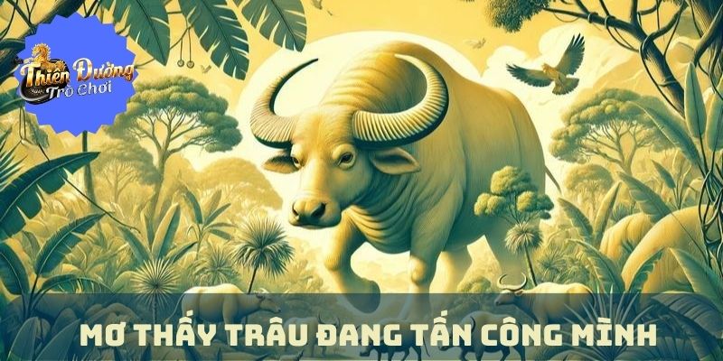Nằm Mơ Thấy Hai Con Trâu Húc Nhau | Con Số Dành Cho Bạn Nằm Mơ Thấy Hai Con Trâu Húc Nhau | Con Số Dành Cho Bạn