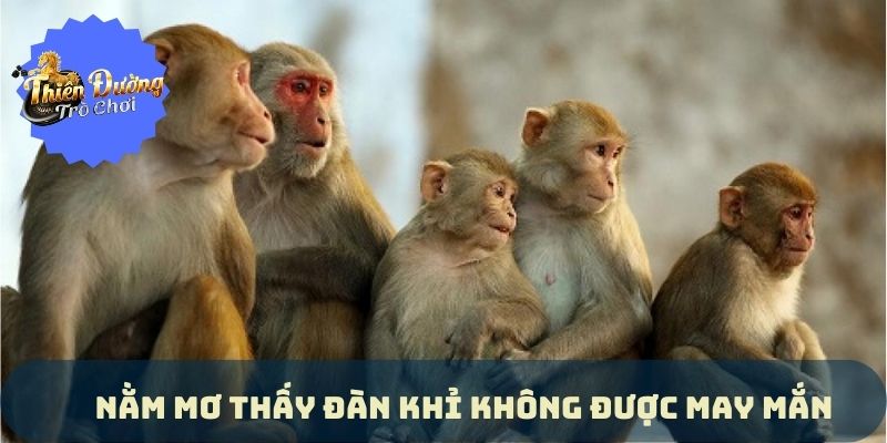 Ý Nghĩa Nằm Mơ Thấy Khỉ Và Con Số May Mắn Ngày Hôm Nay Ý Nghĩa Nằm Mơ Thấy Khỉ Và Con Số May Mắn Ngày Hôm Nay