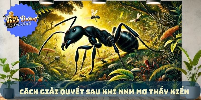 Giải Đáp Nằm Mơ Thấy Kiến Lành Nhiều, Dữ Ít Chuẩn Năm 2024 Giải Đáp Nằm Mơ Thấy Kiến Lành Nhiều, Dữ Ít Chuẩn Năm 2024