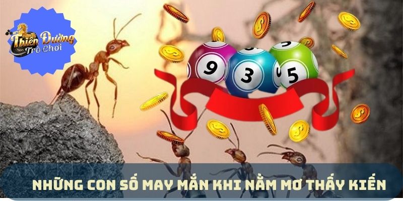 Giải Đáp Nằm Mơ Thấy Kiến Lành Nhiều, Dữ Ít Chuẩn Năm 2024 Giải Đáp Nằm Mơ Thấy Kiến Lành Nhiều, Dữ Ít Chuẩn Năm 2024