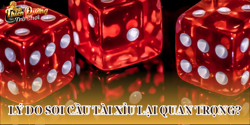 3 Cách Soi Cầu Tài Xỉu Là Gì Và Kinh Nghiệm Thực Tế soi-cau-tai-xiu-la-gi