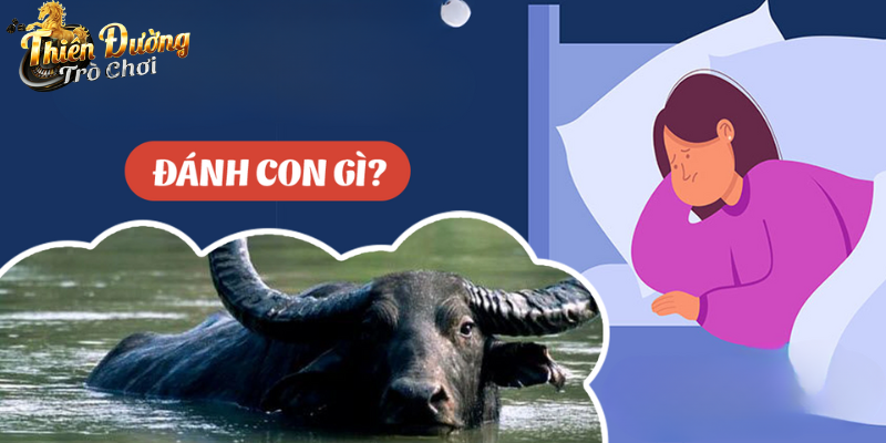 Giải Mã Chiêm Bao Nằm Mơ Thấy Trâu Cùng Các Con Số Ẩn Giấu Các con số tài lộc liên quan đến giấc mơ thấy trâu